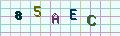 visual captcha